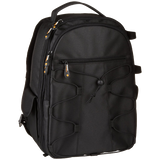AmazonBasics Backpack for SLR-DSLR Cameras and Accessories - Black