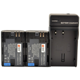 DSTE 2pcs LP-E6 Li-ion Battery + DC88 Charger for Canon